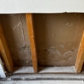 Unmasking Invisible Threats and The Importance of Indoor Air Quality Testing