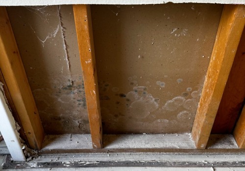 Unmasking Invisible Threats and The Importance of Indoor Air Quality Testing